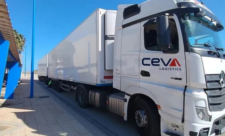 Cargo Dispatch truck